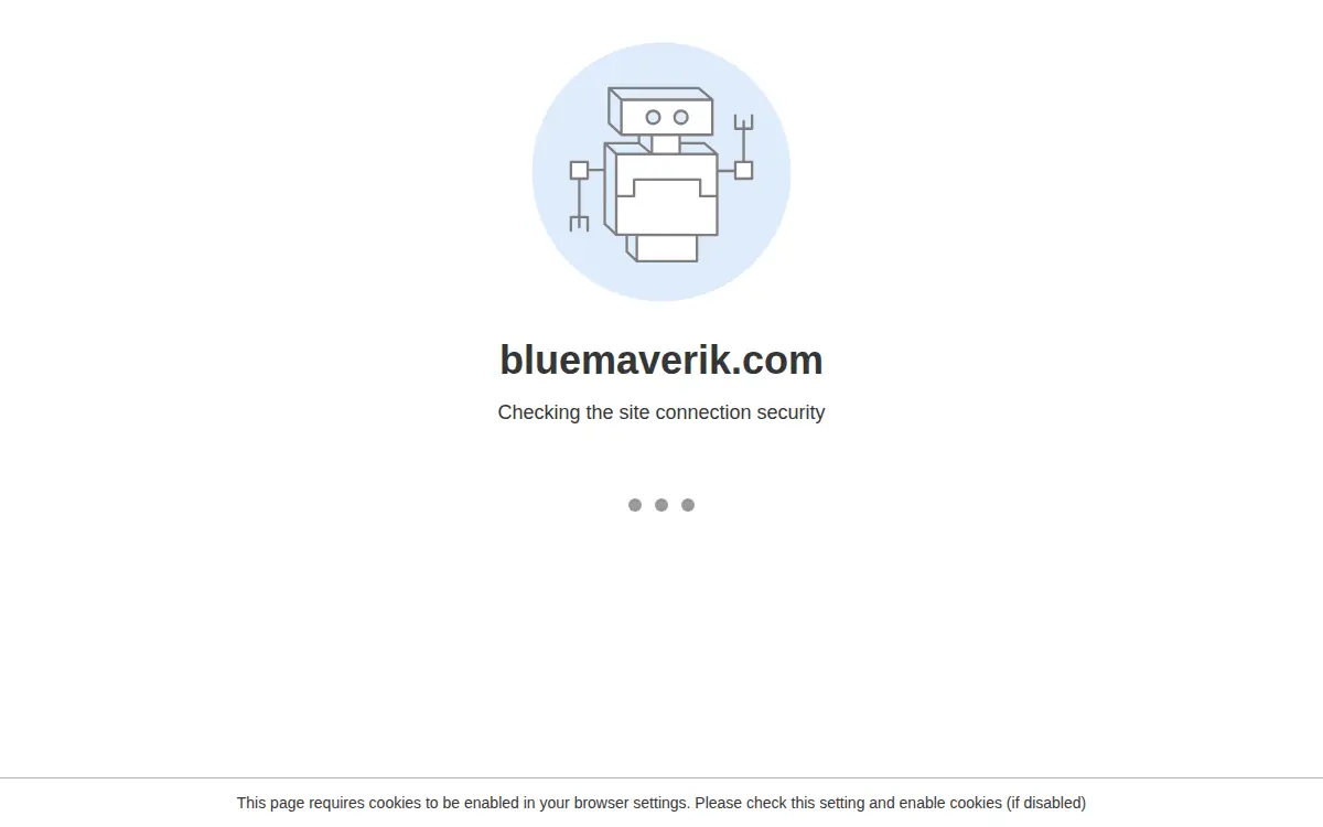 Homepage of Blue Maverik LLC