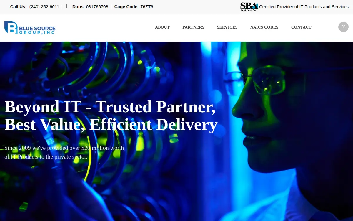 Homepage of Blue Source Group INC