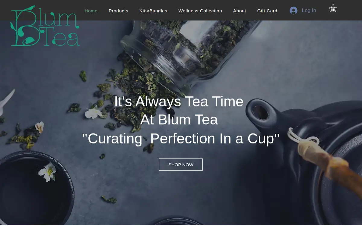 Homepage of Blu December LLC