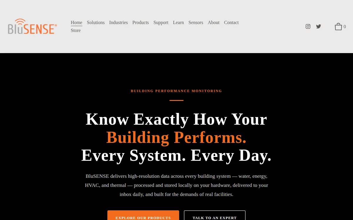 Homepage of Blusense INC.