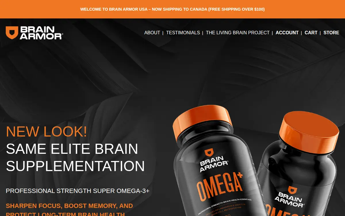 Homepage of Brain Armor INC