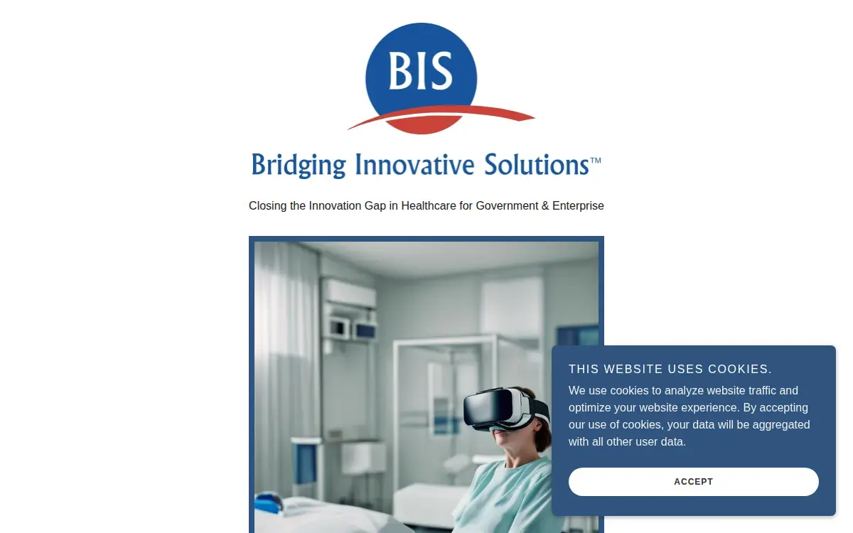 Homepage of Bridging Innovative Solutions LLC