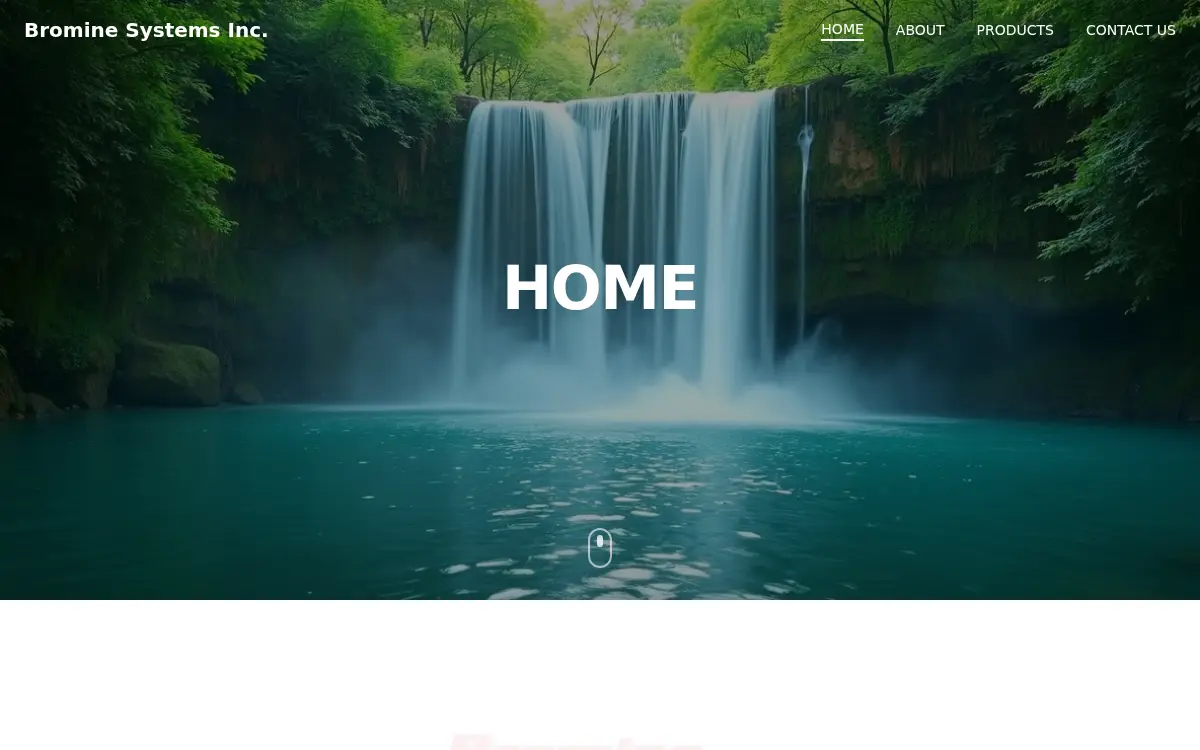 Homepage of Bromine Systems INC