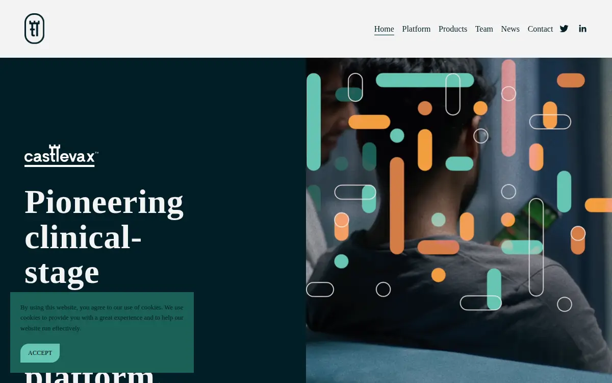 Homepage of Castlevax INC