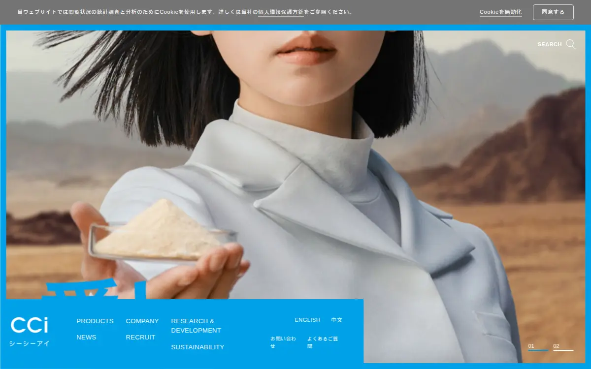 Homepage of Cci Distribution Partners Corporation