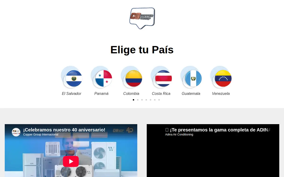 Homepage of Distribuidora Guaticobre, LLC