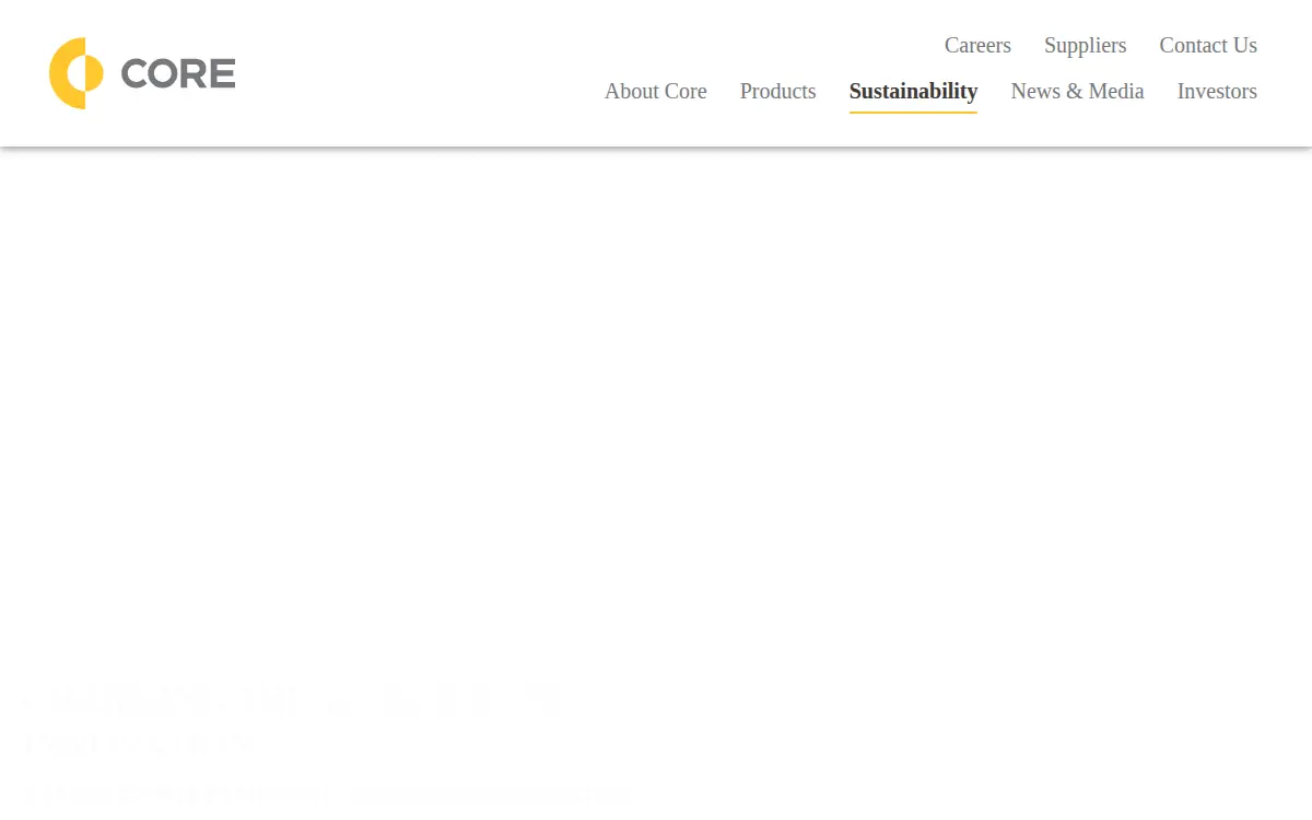 Homepage of Consol Innovations LLC