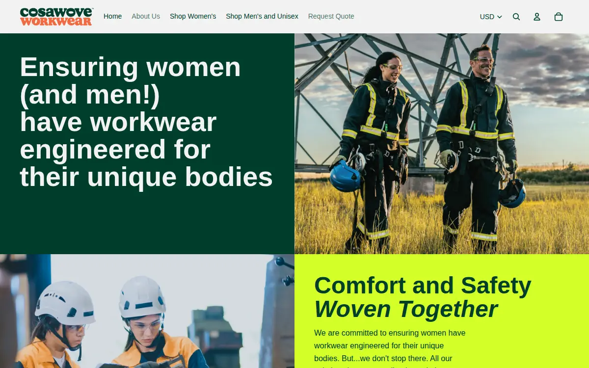 Homepage of Hiviz Custom Outfitter LLC
