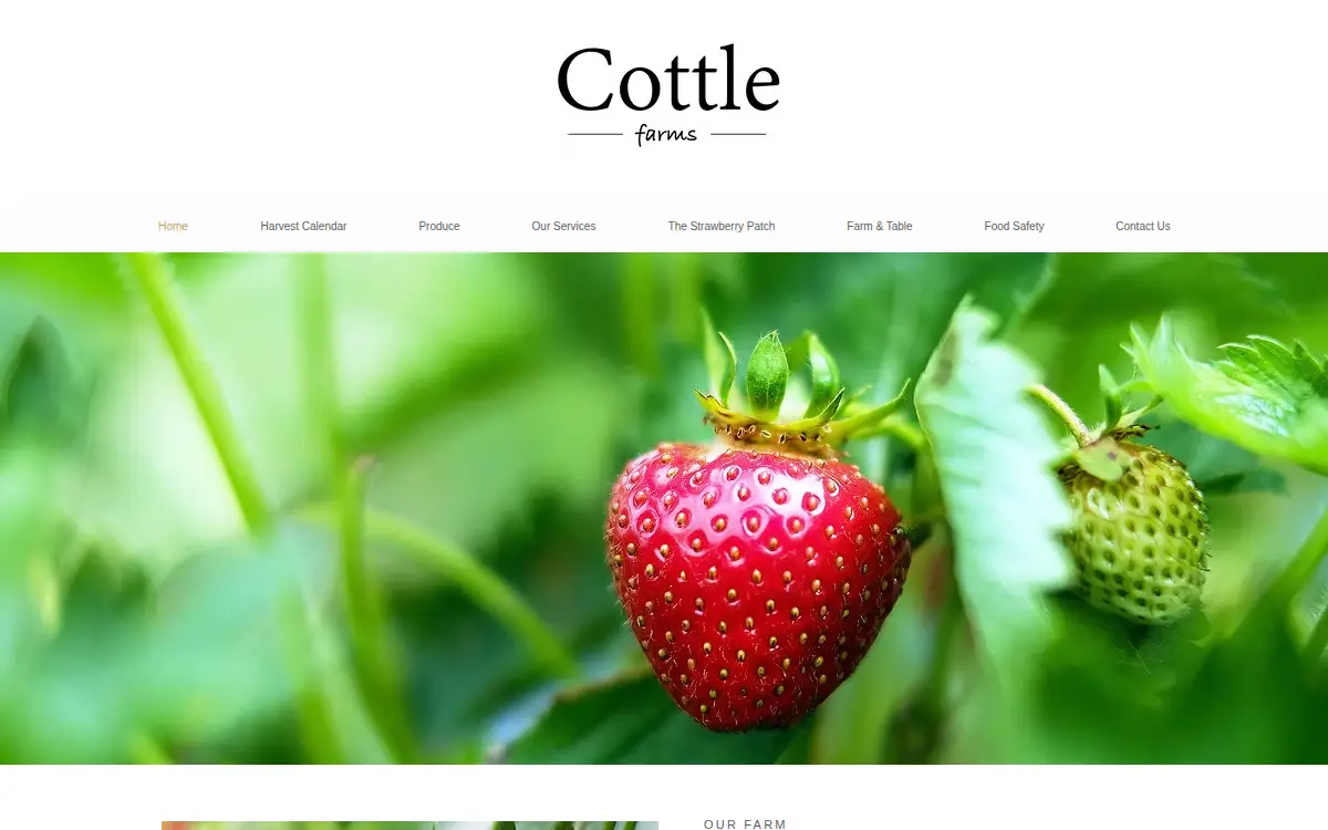 Homepage of Cottle Strawberry Nursery INC