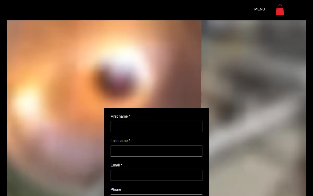 Homepage of Delozier Fabrication LLC