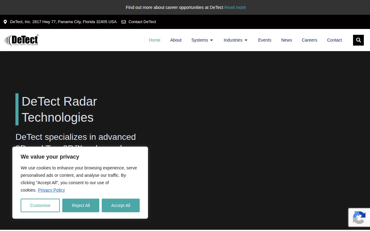 Homepage of Detect INC