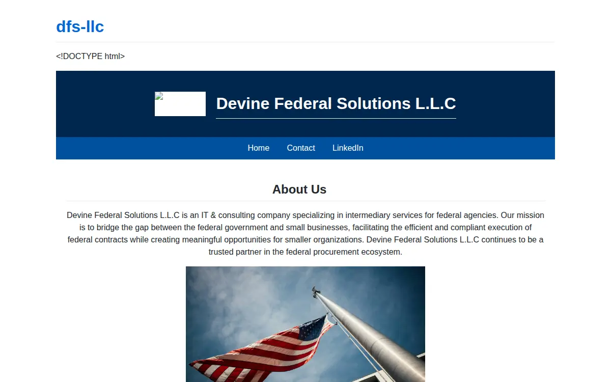 Homepage of Devine Federal Solutions L.l.c.