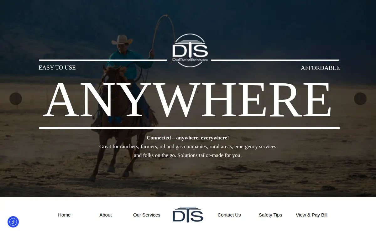 Homepage of Dialtoneservices L.p.