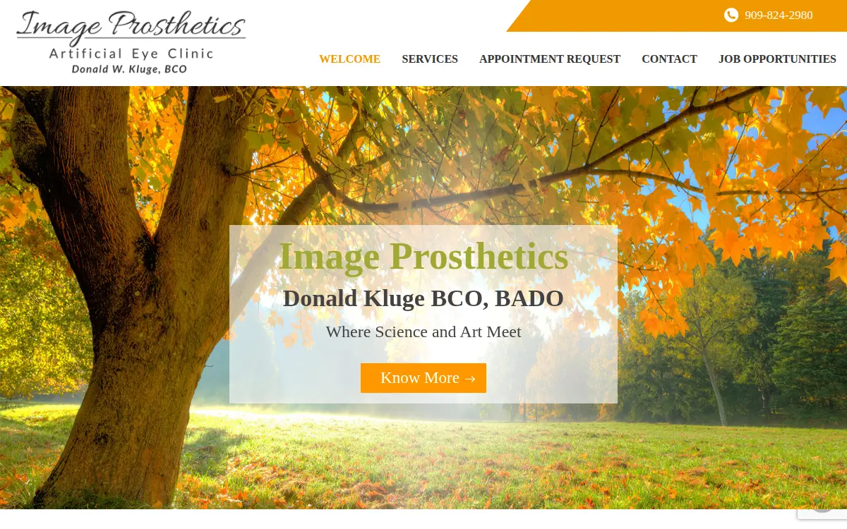 Homepage of Image Prosthetics, INC