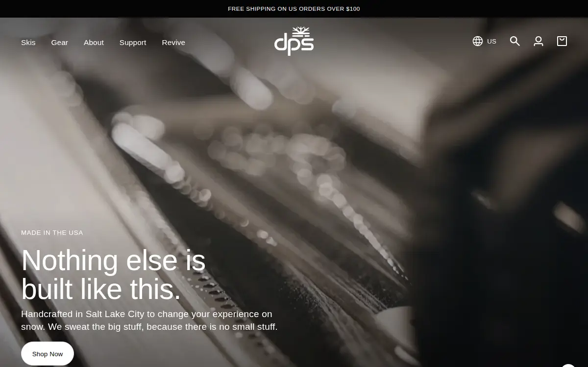 Homepage of Drake Holdings (dps Skis) INC