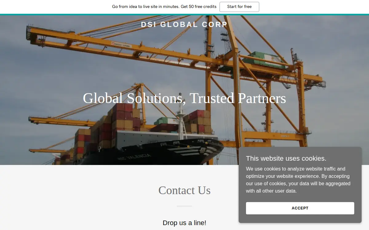 Homepage of Dsi Global Trading Corporation