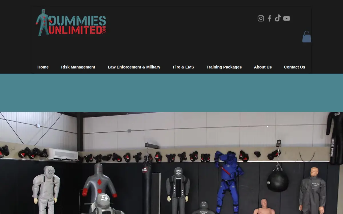 Homepage of Dummies Unlimited, INC.
