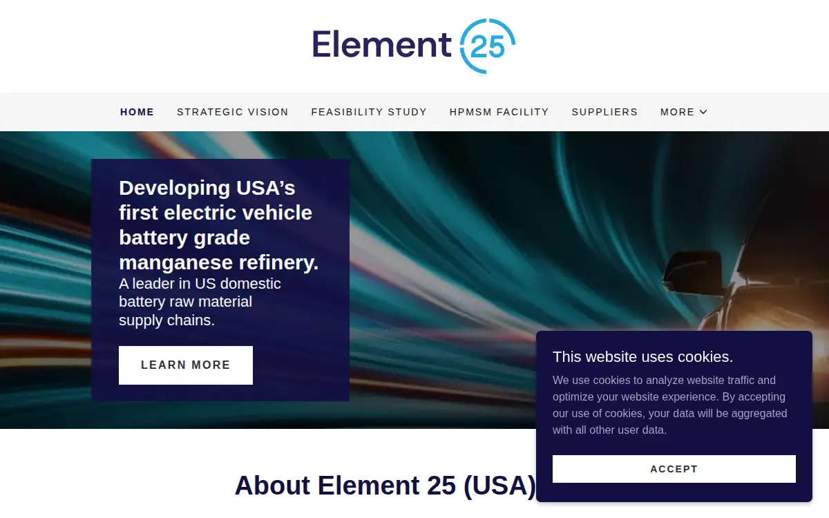 Homepage of Element 25 Louisiana LLC