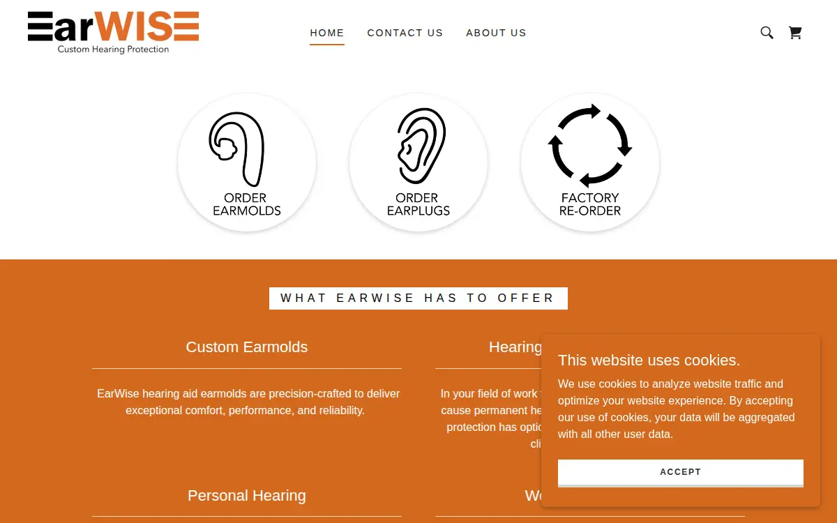 Homepage of Nz Enterprises, LLC