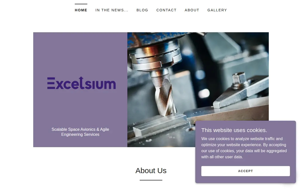 Homepage of Excelsium LLC
