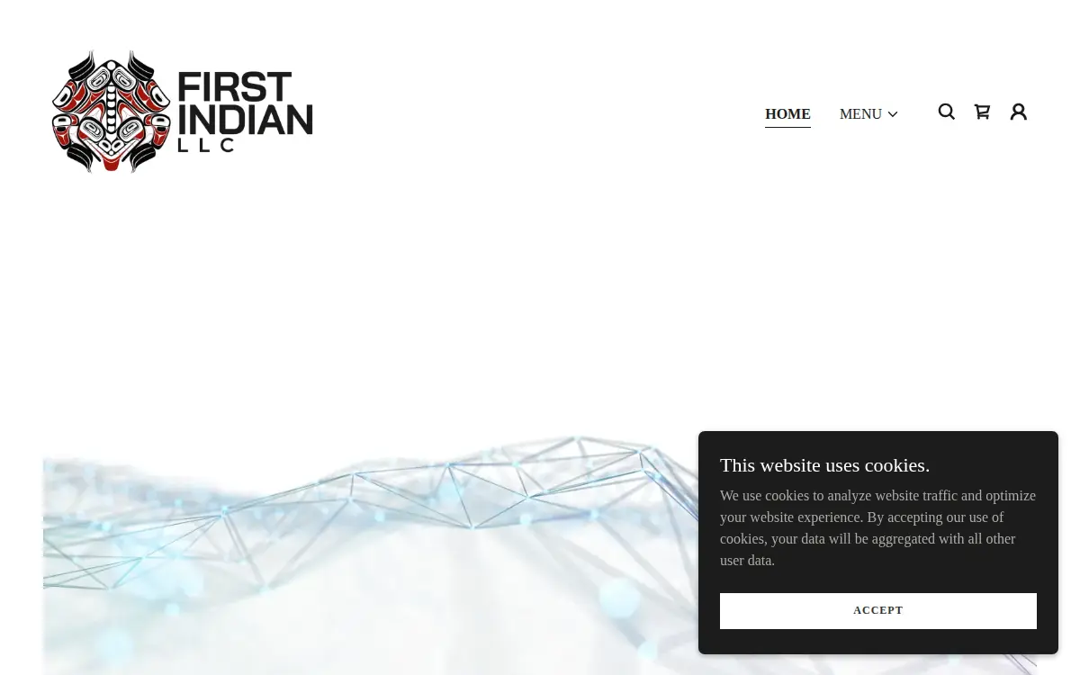 Homepage of First Indian LLC