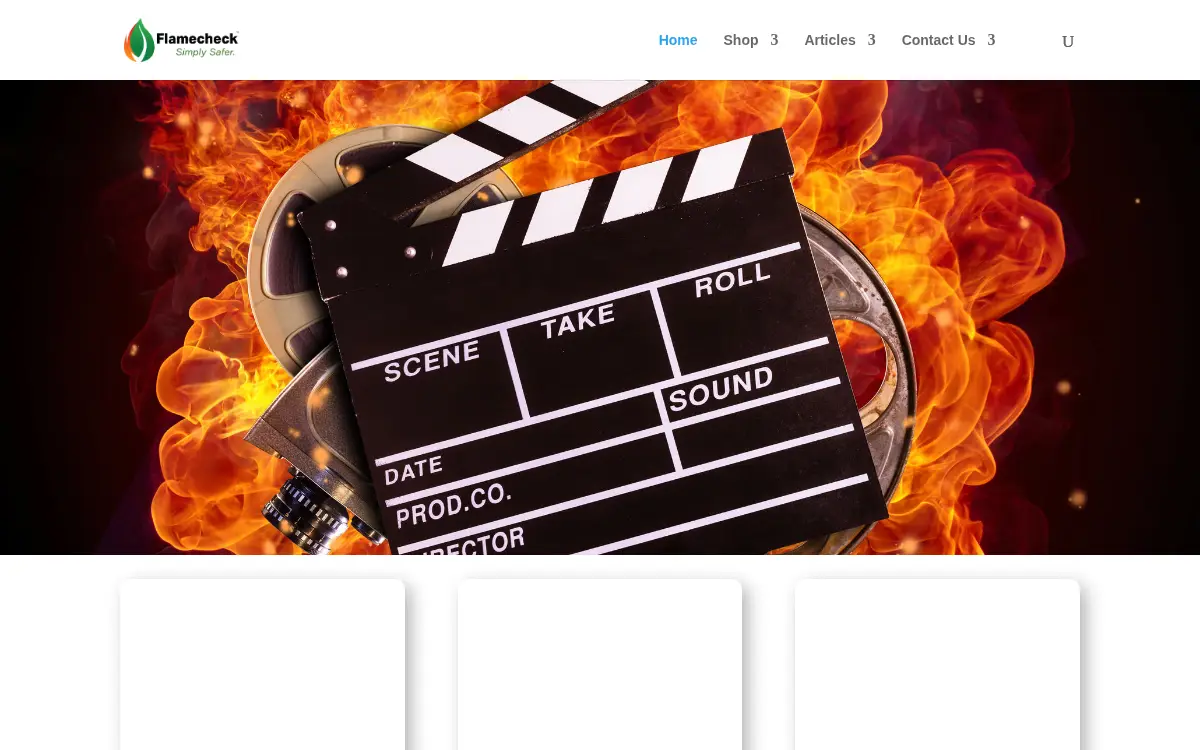 Homepage of Flamecheck International LLC