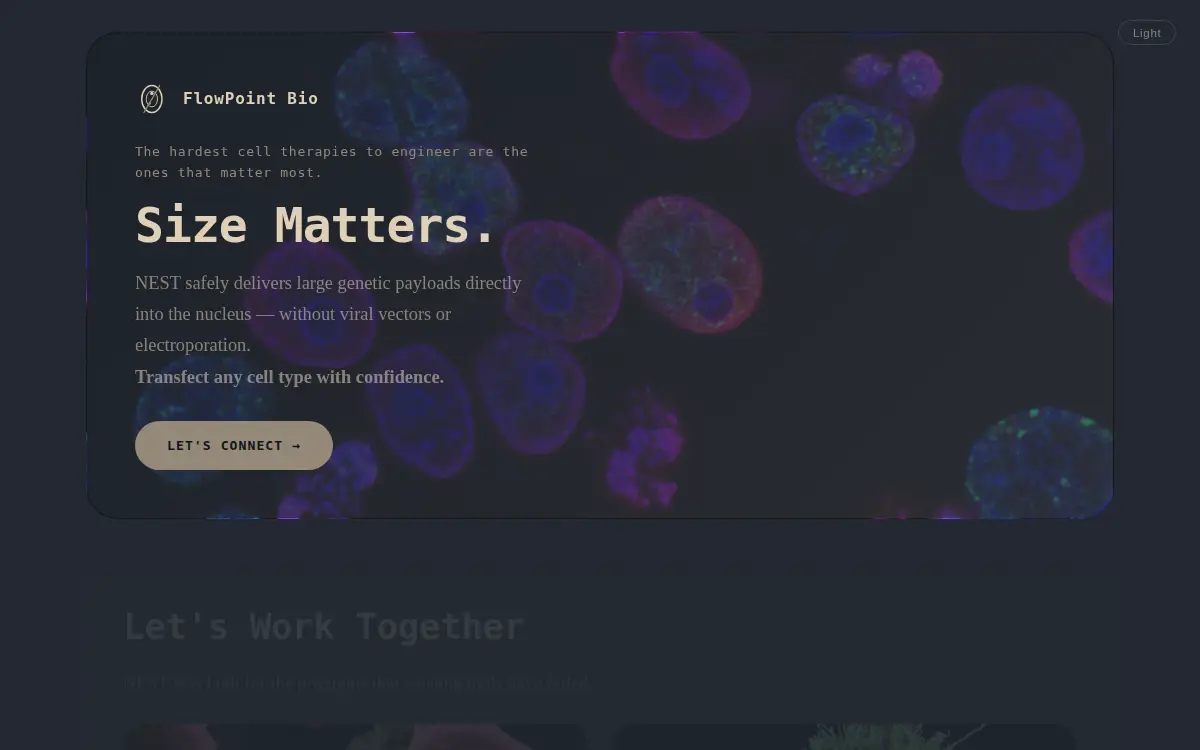 Homepage of Flowpoint Bio, INC.