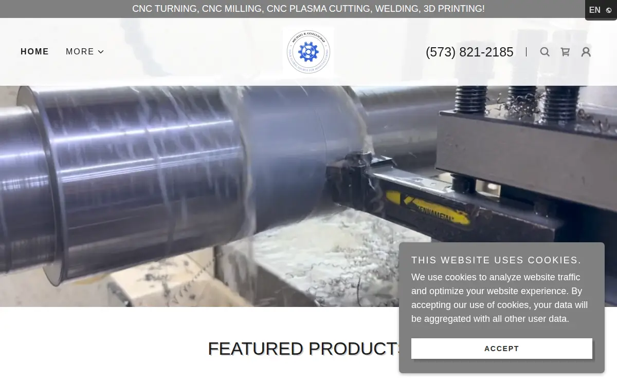 Homepage of Michael R Gesellschap