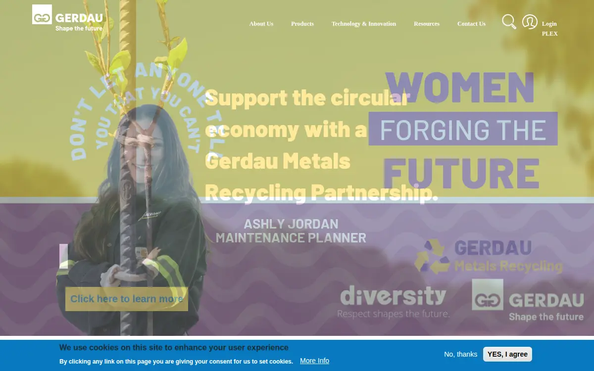 Homepage of Gerdau Macsteel, INC.