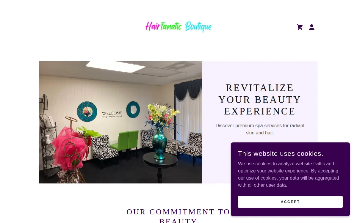 Homepage of Hairfanatic Boutique LLC