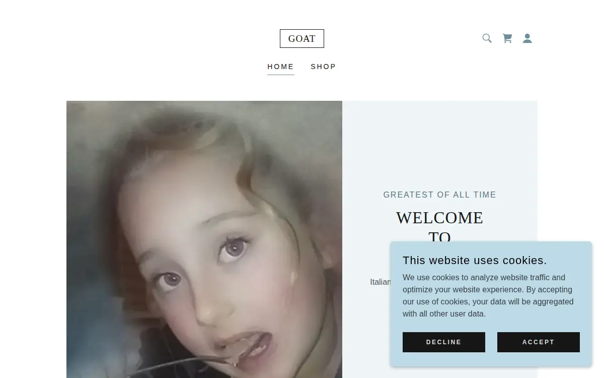 Homepage of Firenza Pini