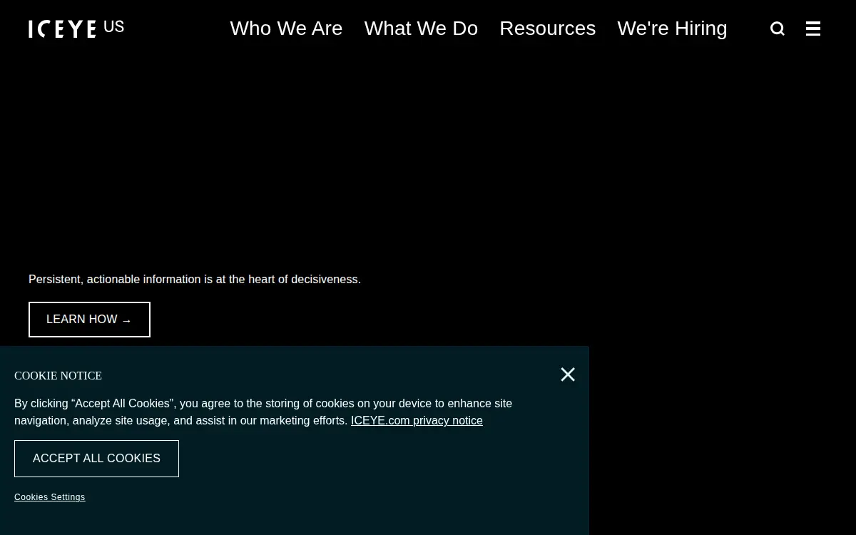 Homepage of Iceye Us, INC