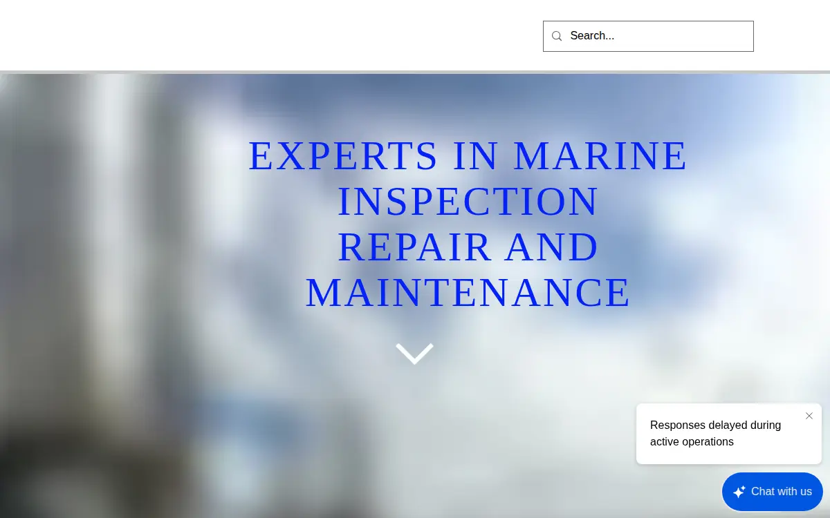 Homepage of Ideas and Solutions Incorporated