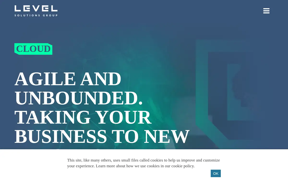 Homepage of Level Solutions Group LLC