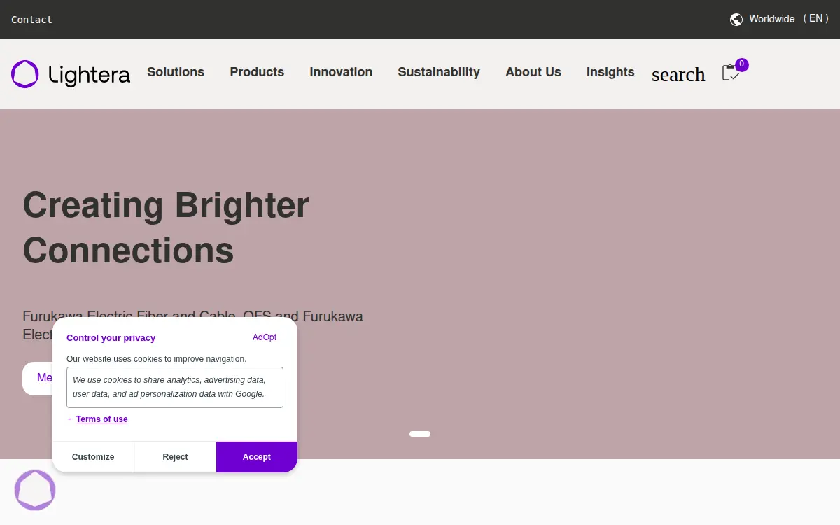 Homepage of Lightera, LLC