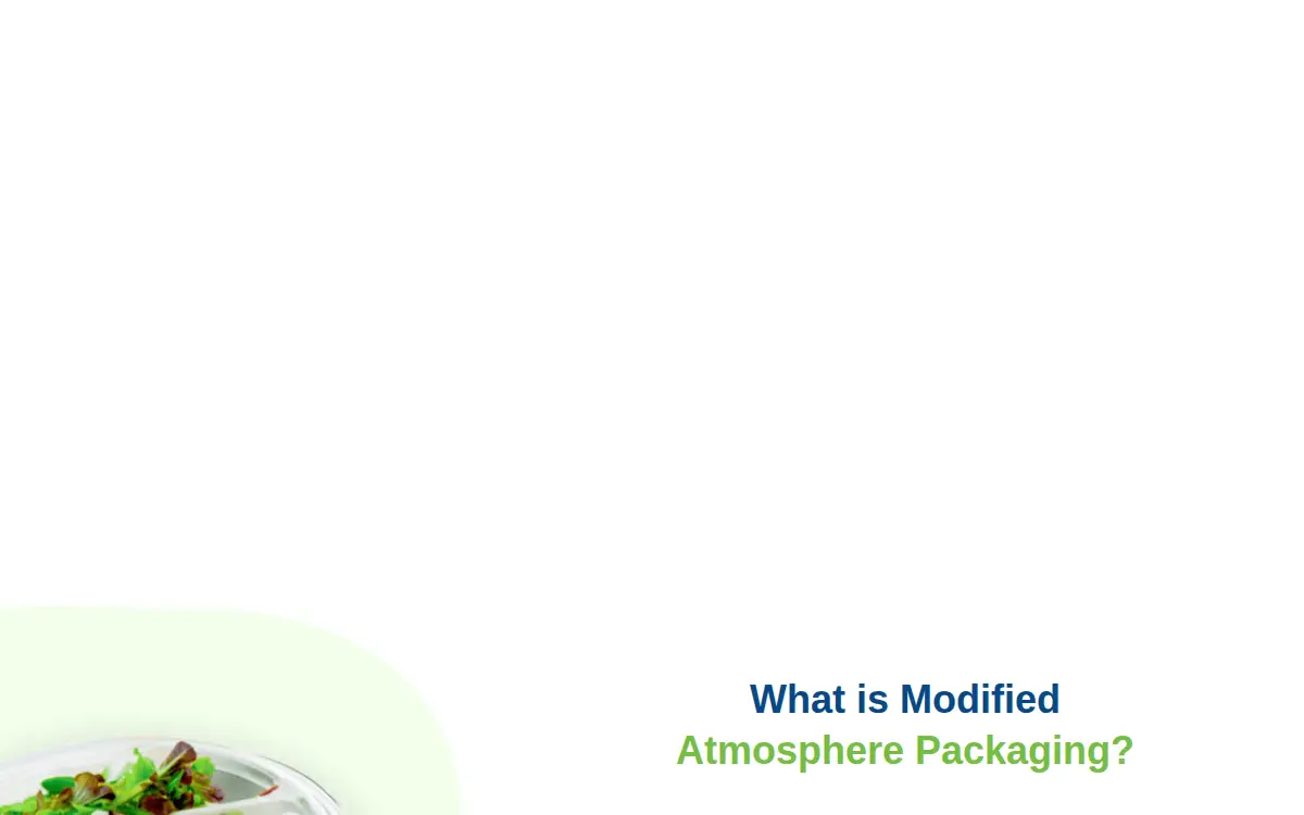 Homepage of Maptech Packaging LLC