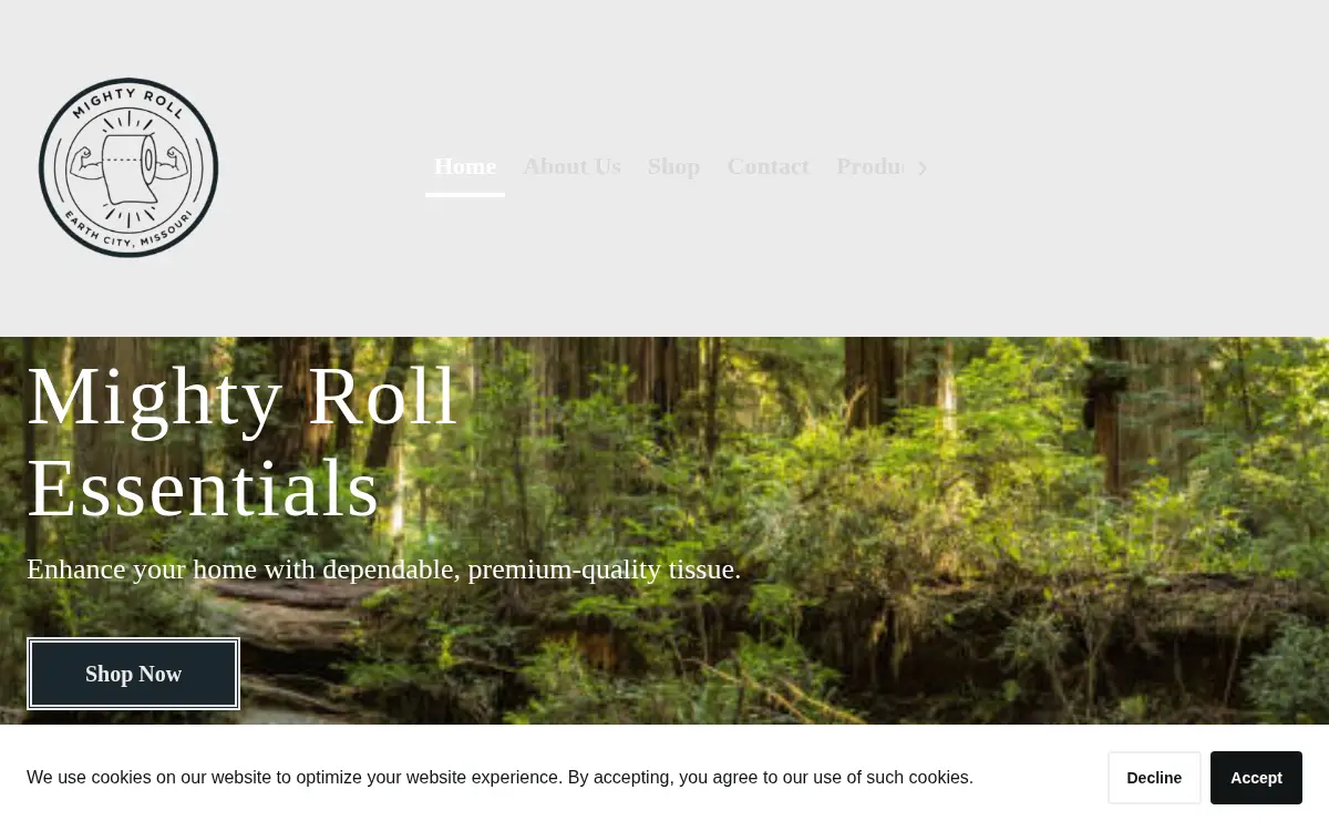 Homepage of Nourthstar LLC