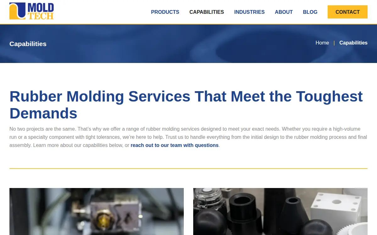 Homepage of Moldtech LLC