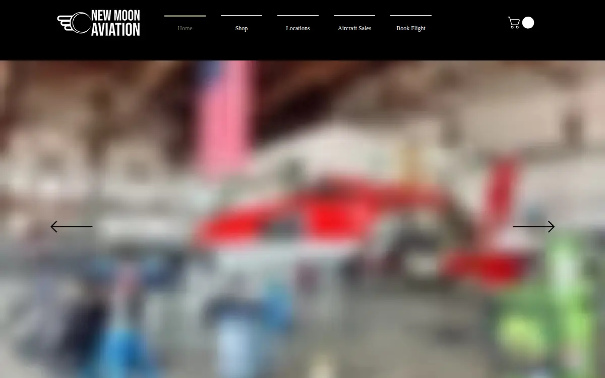 Homepage of New Moon Aviation LLC