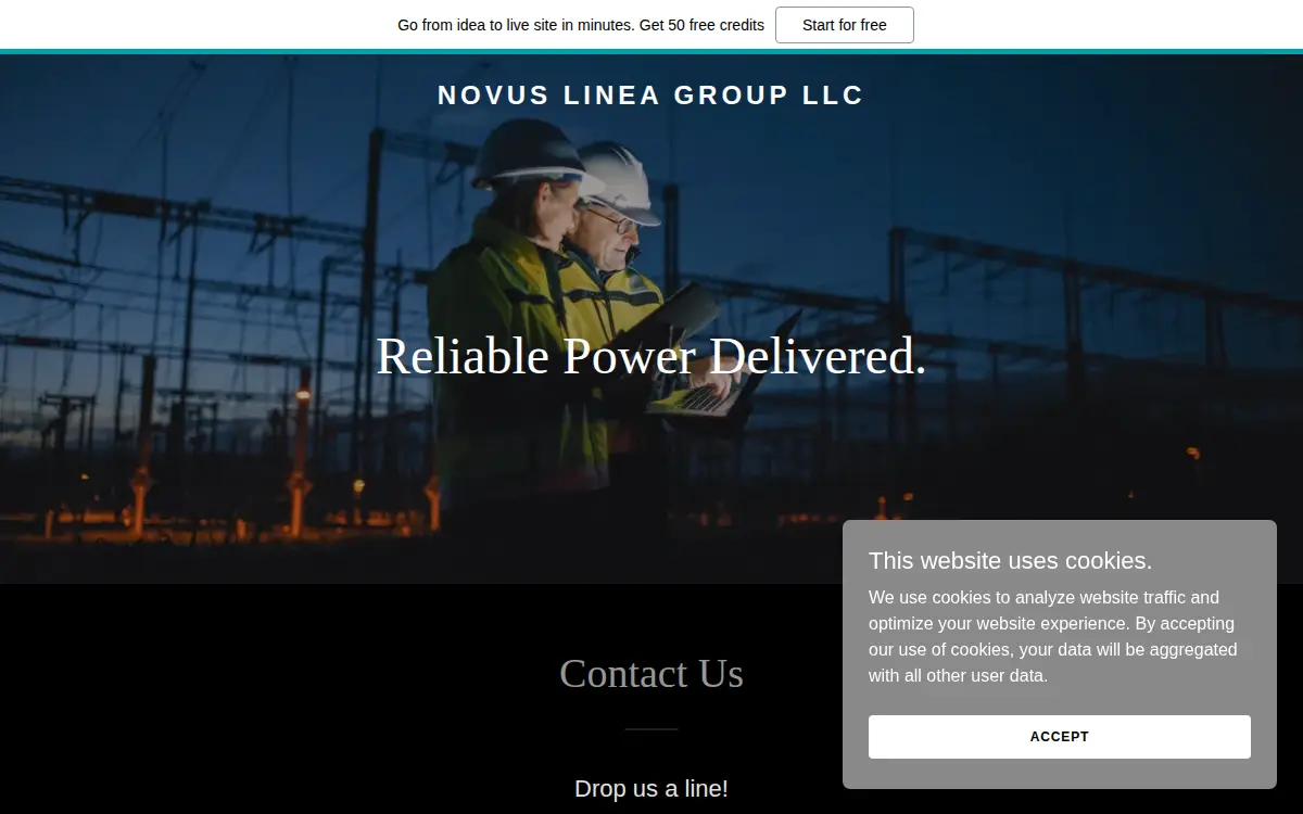 Homepage of Novus Linea Group LLC