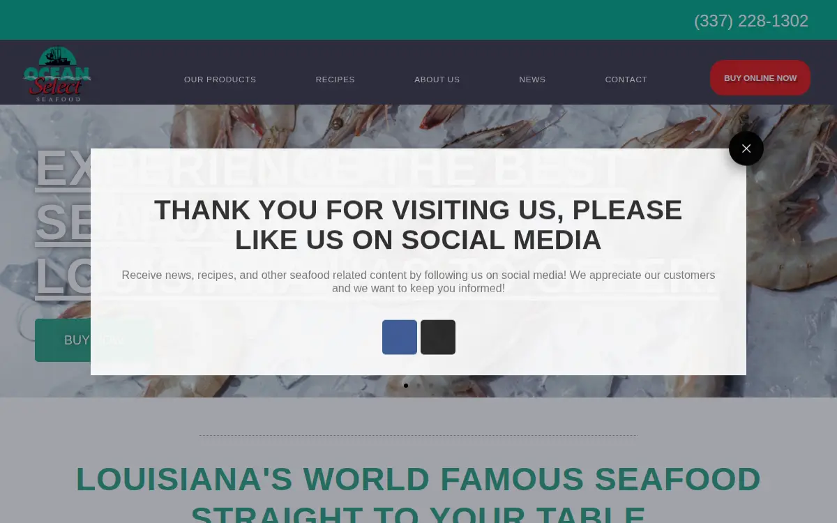 Homepage of Ocean Select Seafood, L.l.c.