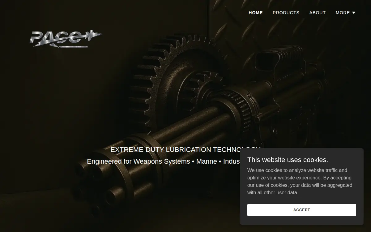 Homepage of Pace Action LLC