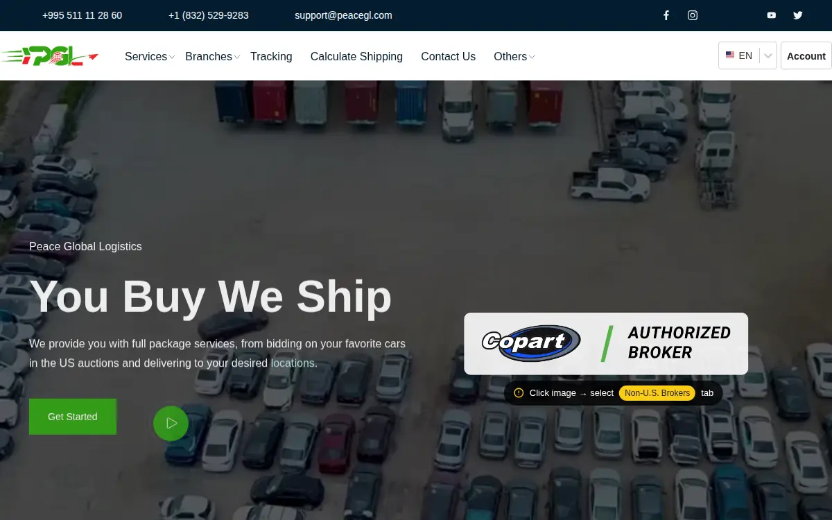Homepage of Peace Global Logistics LLC