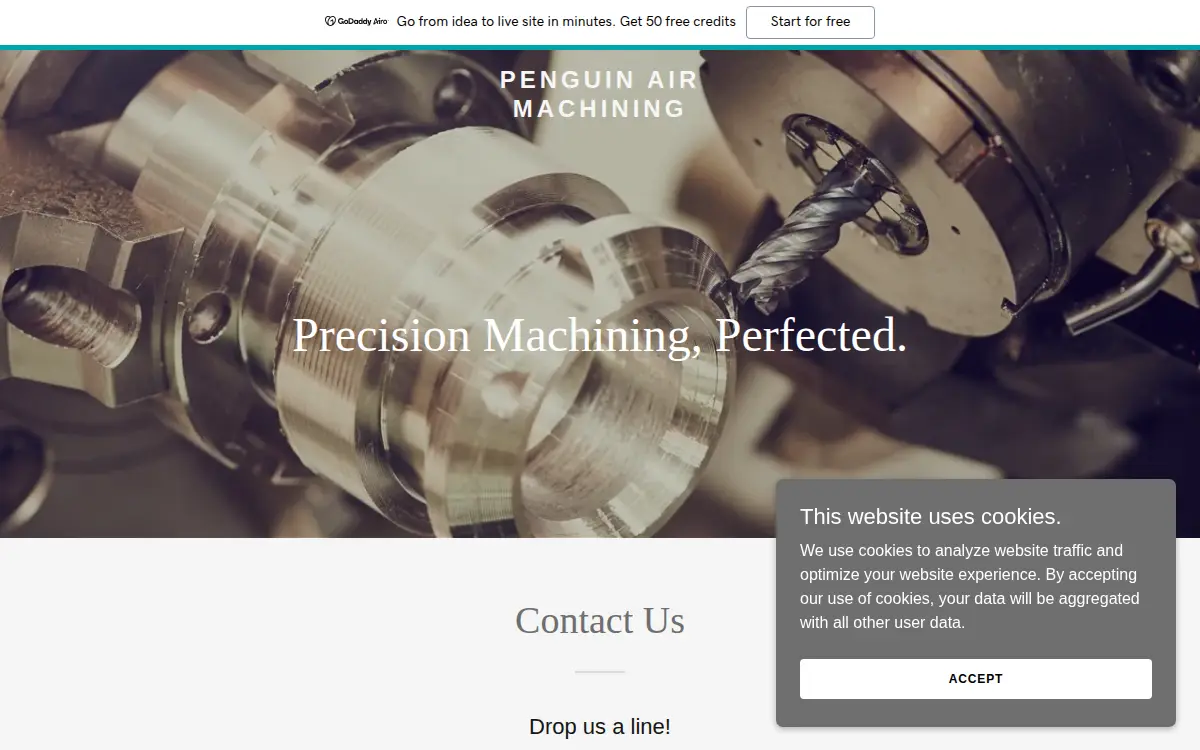 Homepage of Penguin Air