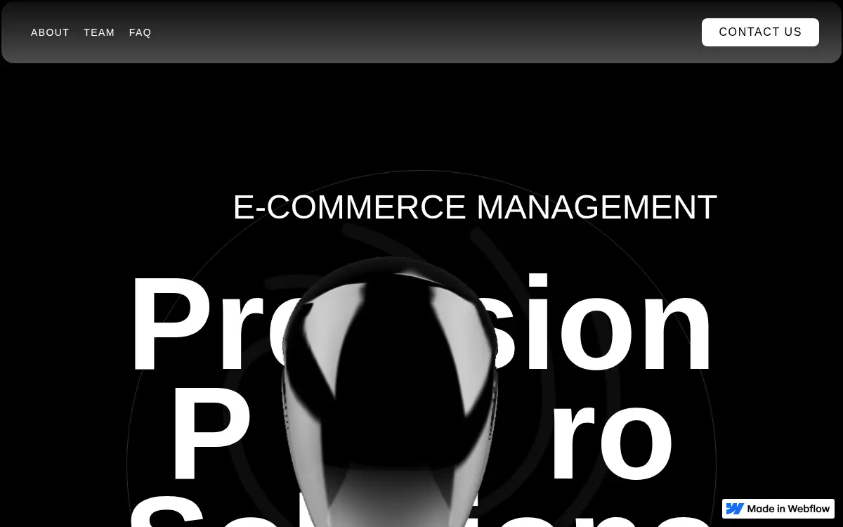 Homepage of Precision Pro Solutions LLC