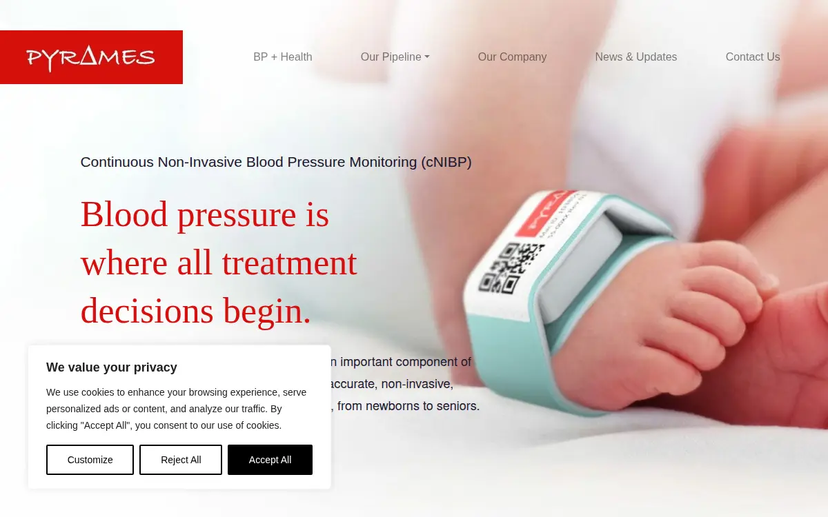 Homepage of Pyrames INC.