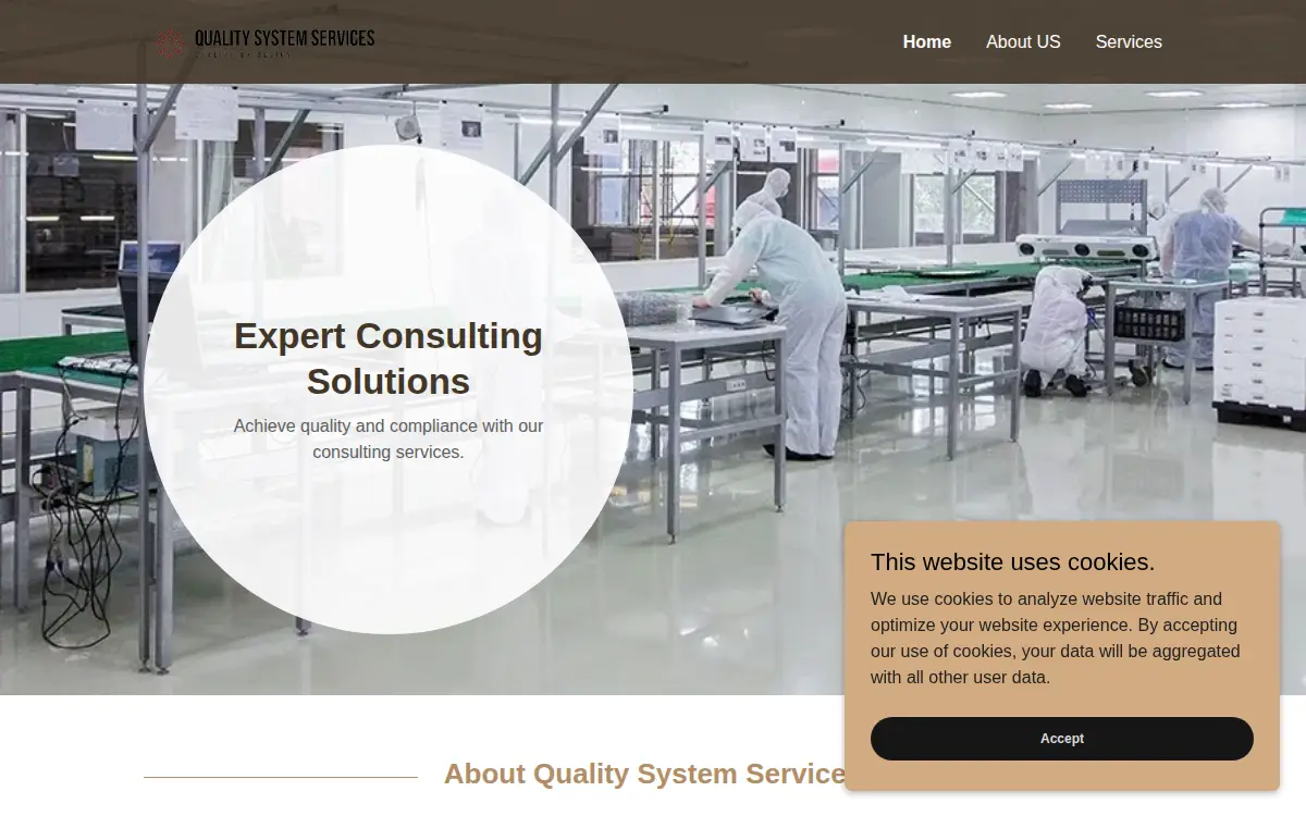 Homepage of Quality System Services LLC