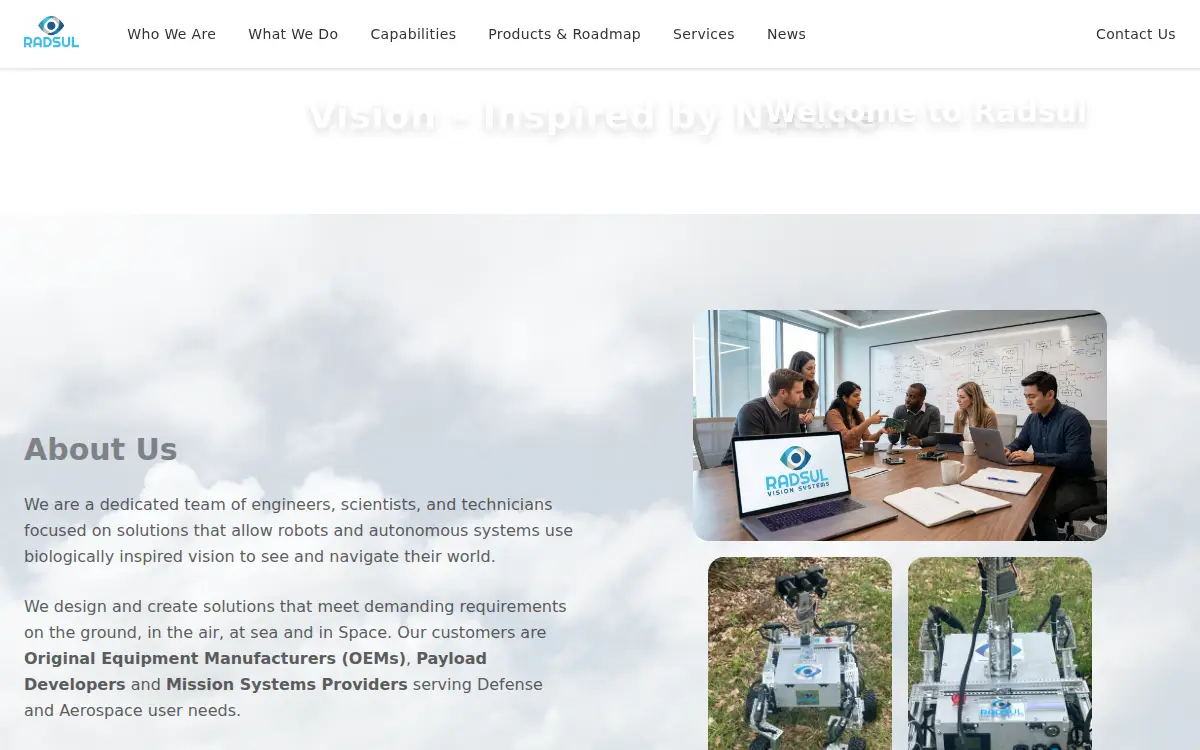 Homepage of Radsul INC