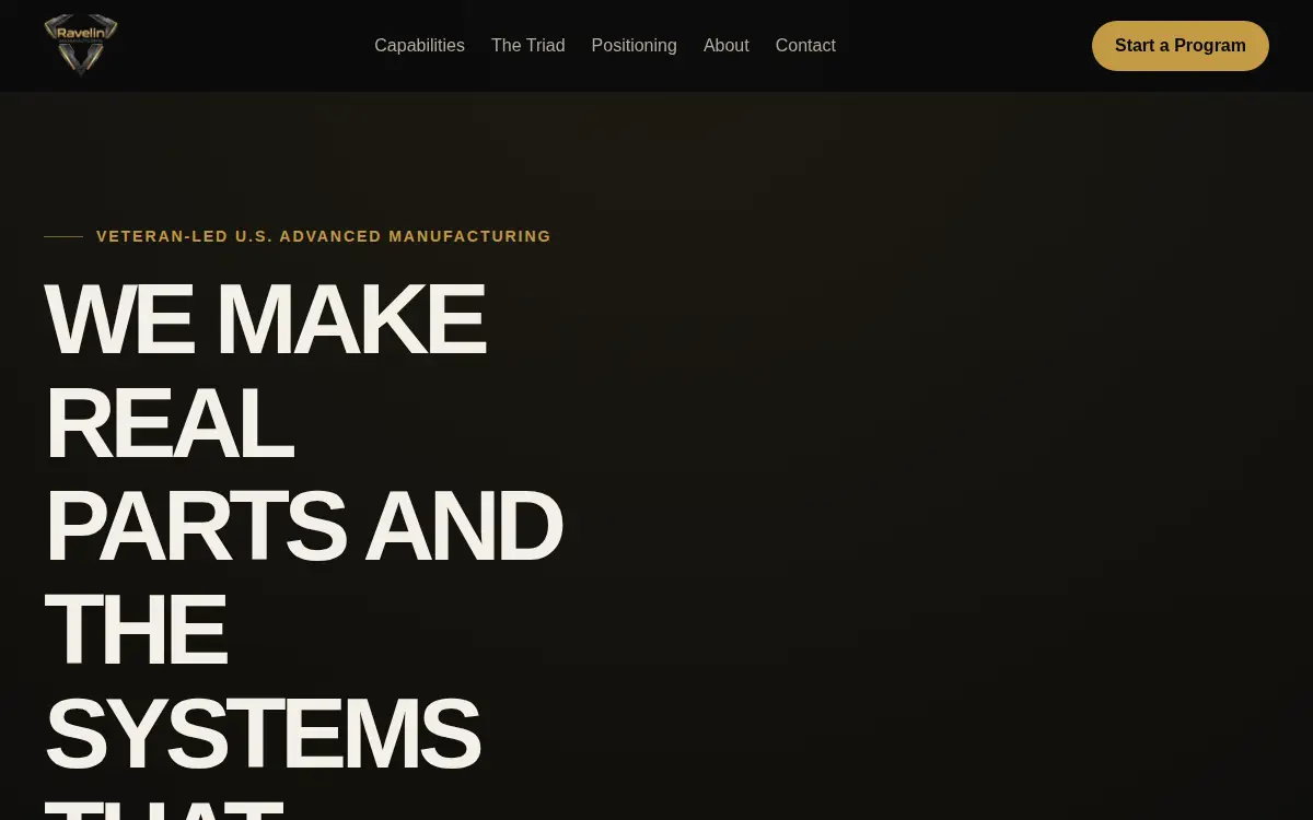 Homepage of Ravelin INC