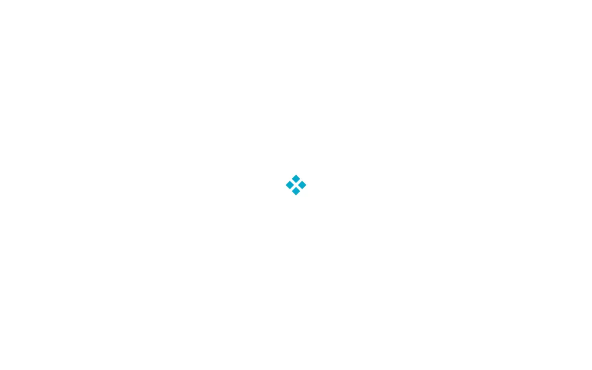 Homepage of Rink Systems INC